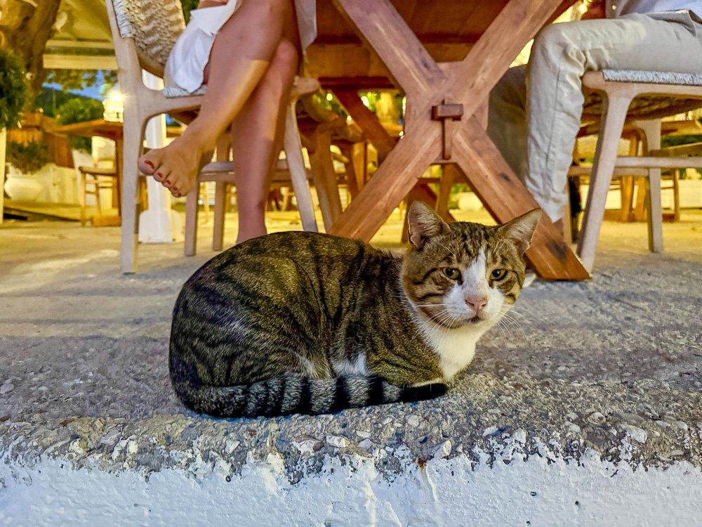 IMG_6085.jpg