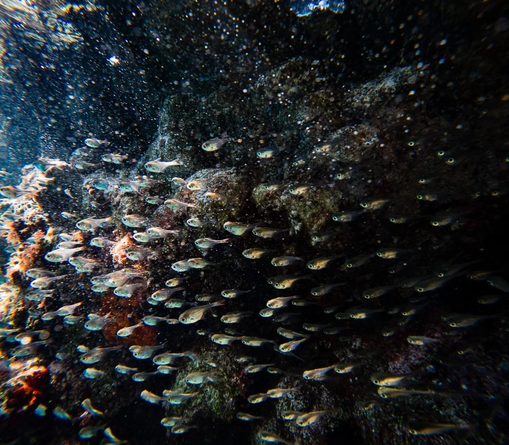 GOPR6480.jpg