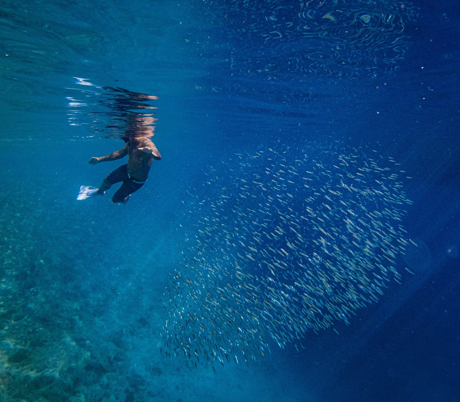 GOPR6735.jpg