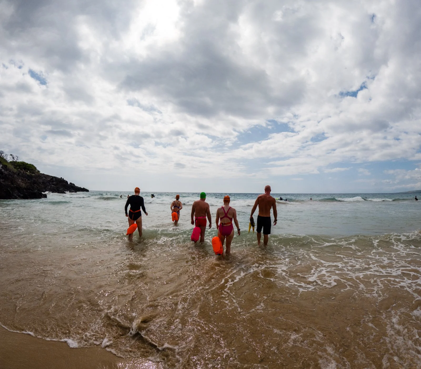 Monday of many turtles.