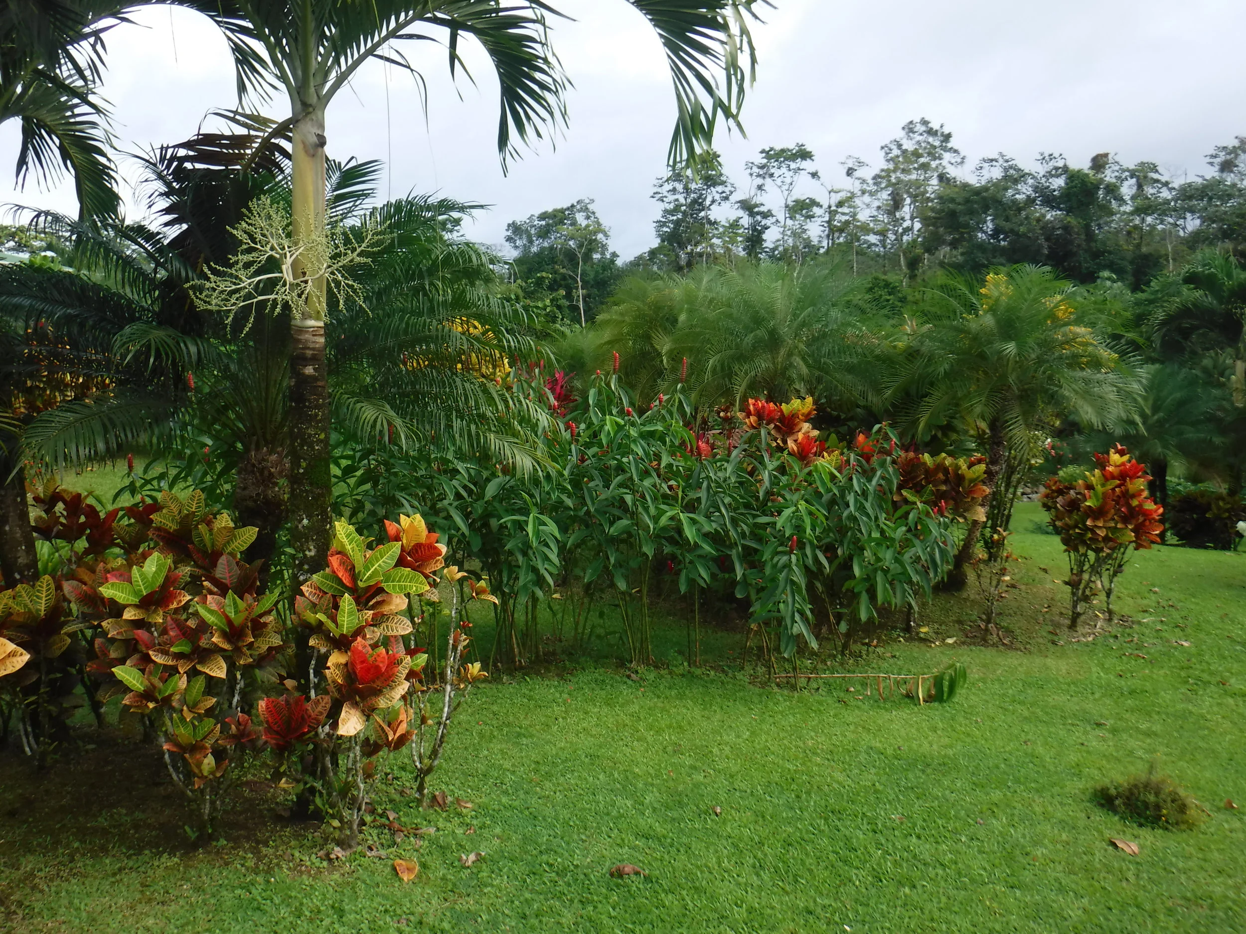 DSCF0196.JPG