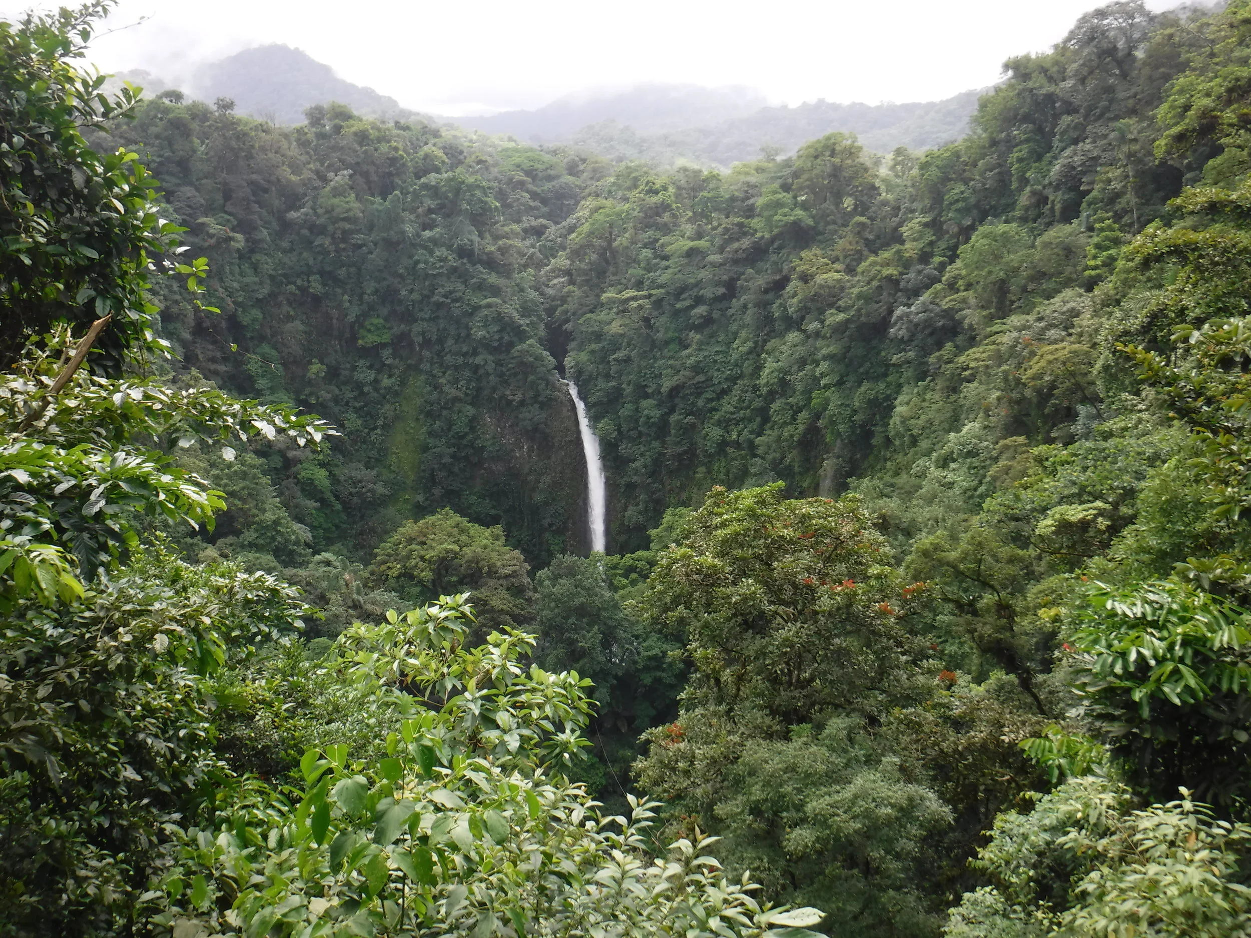 DSCF0305.JPG
