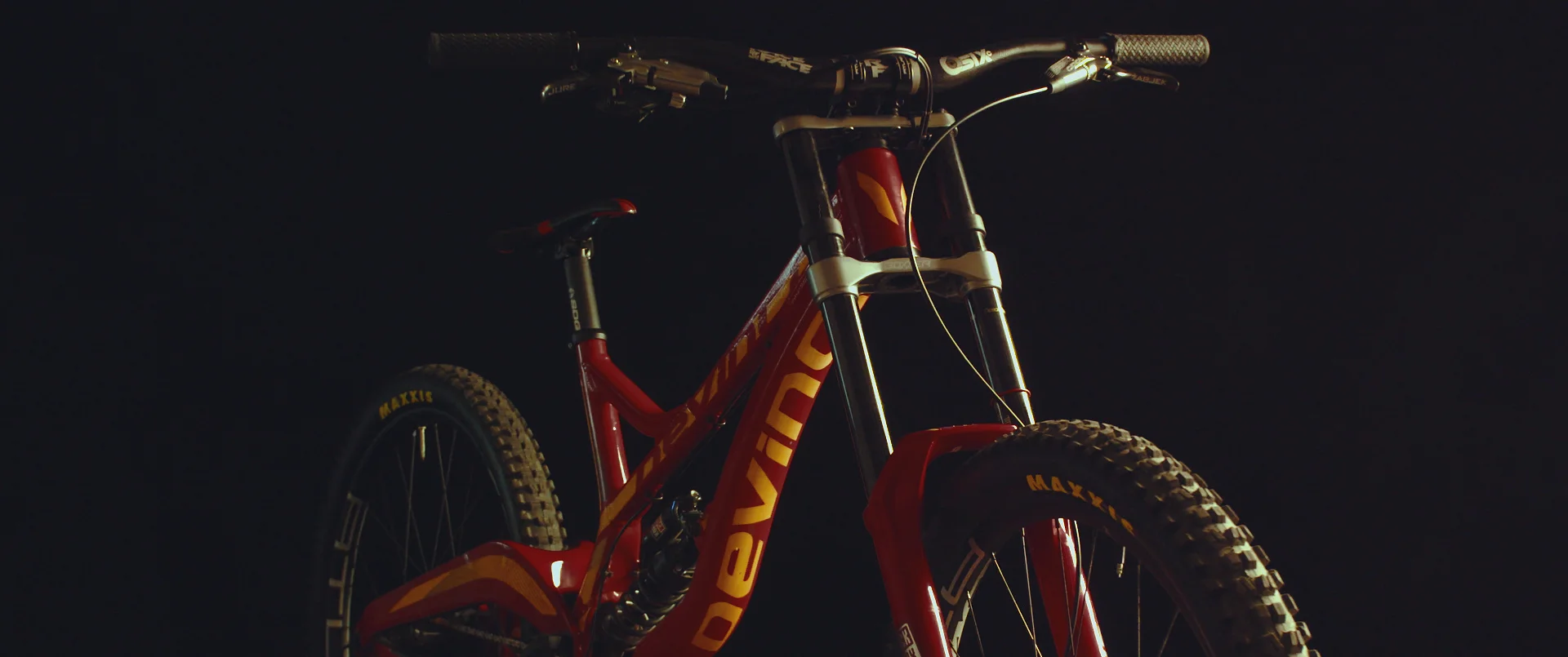 Devinci_1_cropped.jpg