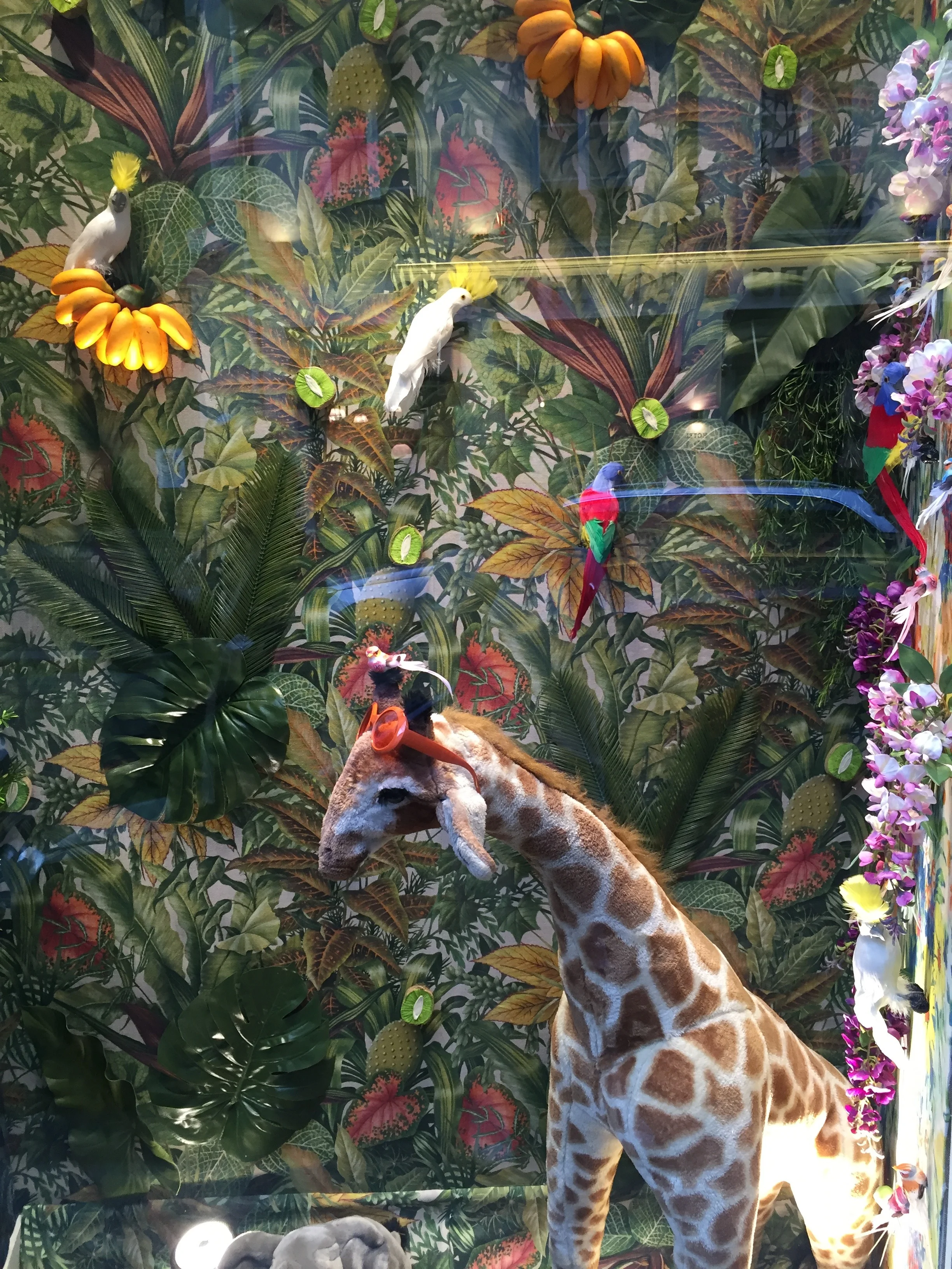 Les Off de l'art et du design végétal 2016 Showroom Cleo C Paris VI France