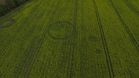 Tarlton Down, Nr Cherlington, Gloucestershire. Reported 18th April.gif
