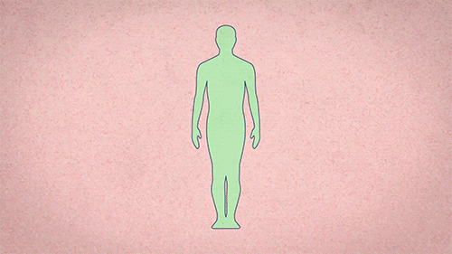 Human_Genome.gif