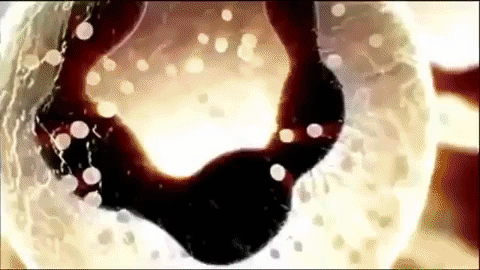 HumanBody4.gif