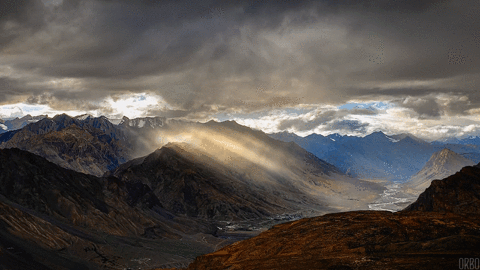 Himalayans.gif