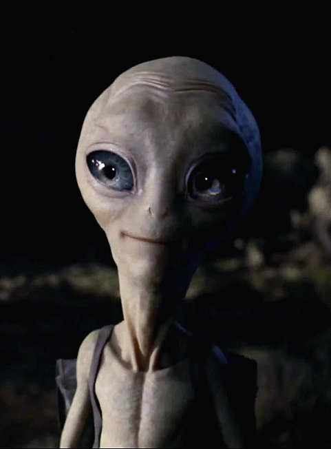paul - UFO meaning and mystery - Alien Greys - Peter Crawford.png