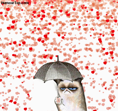 GrumpyCat.gif