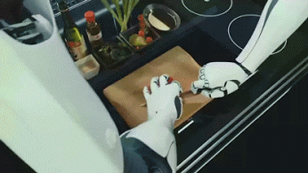 MoleyKitchen.gif