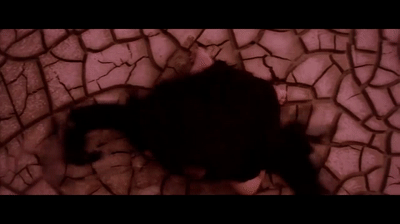 Satan (1).gif