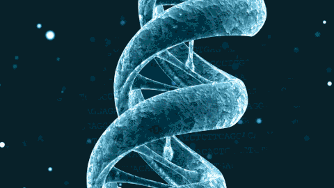 DNA3.gif