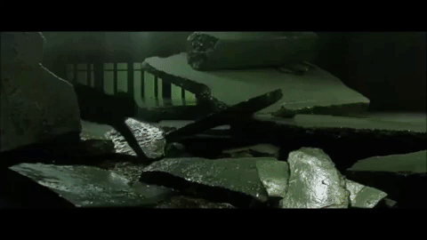 TheMatrixReality.gif