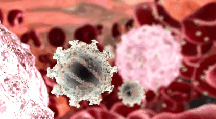 HIV_1.gif