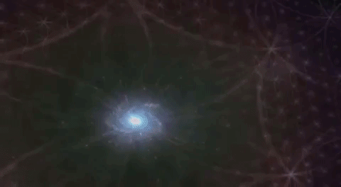 Sofia1.gif