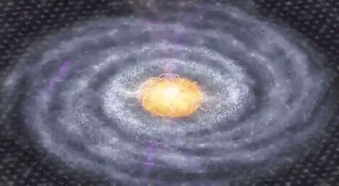 Sofia2.gif
