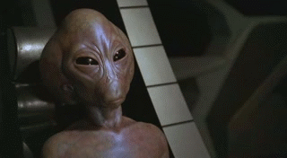 GreyHumanlol.gif