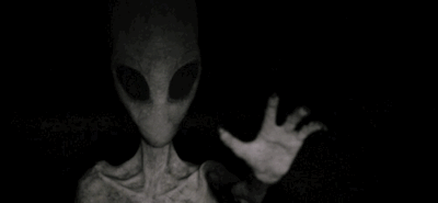 Grey0.gif