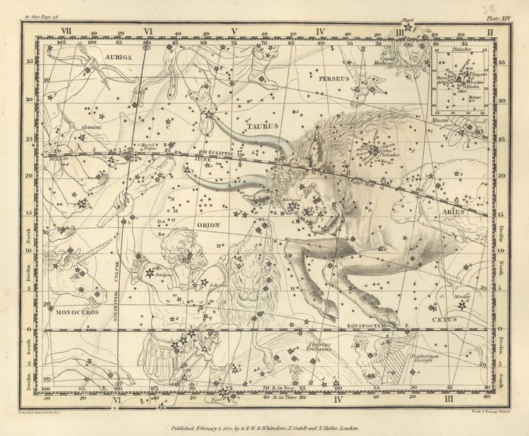 PleiadesTaurus.jpg