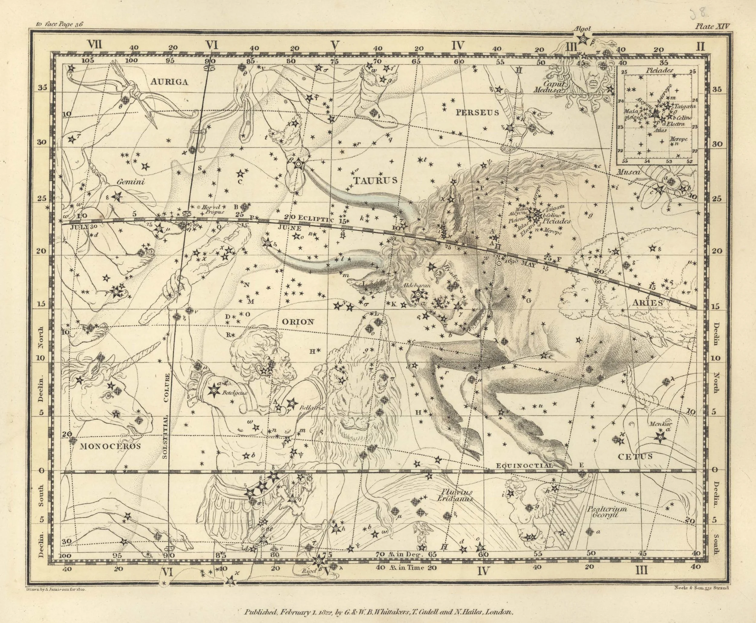 PleiadesTaurus.jpg