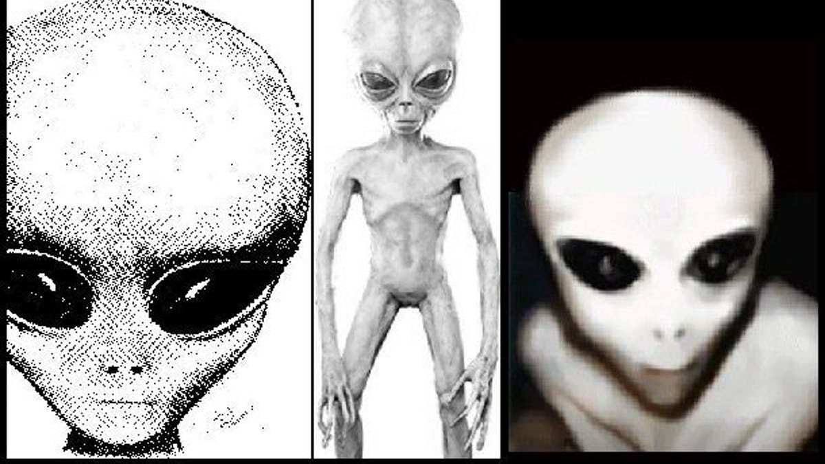 aliens-the-greys.jpeg