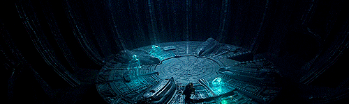 SeedRaces2.gif