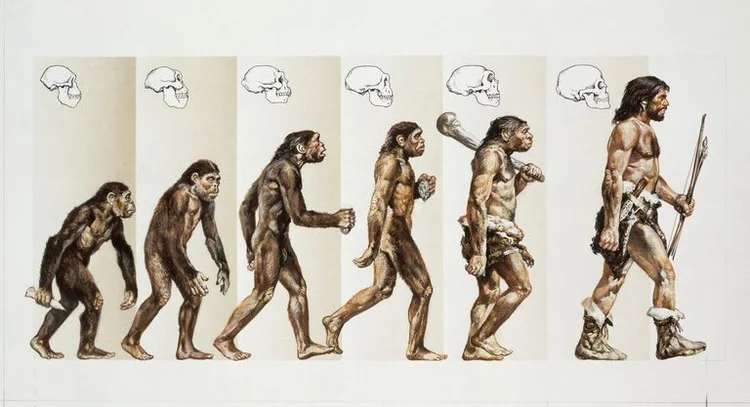Evolution.jpg