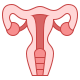 icons8-uterus-80.png