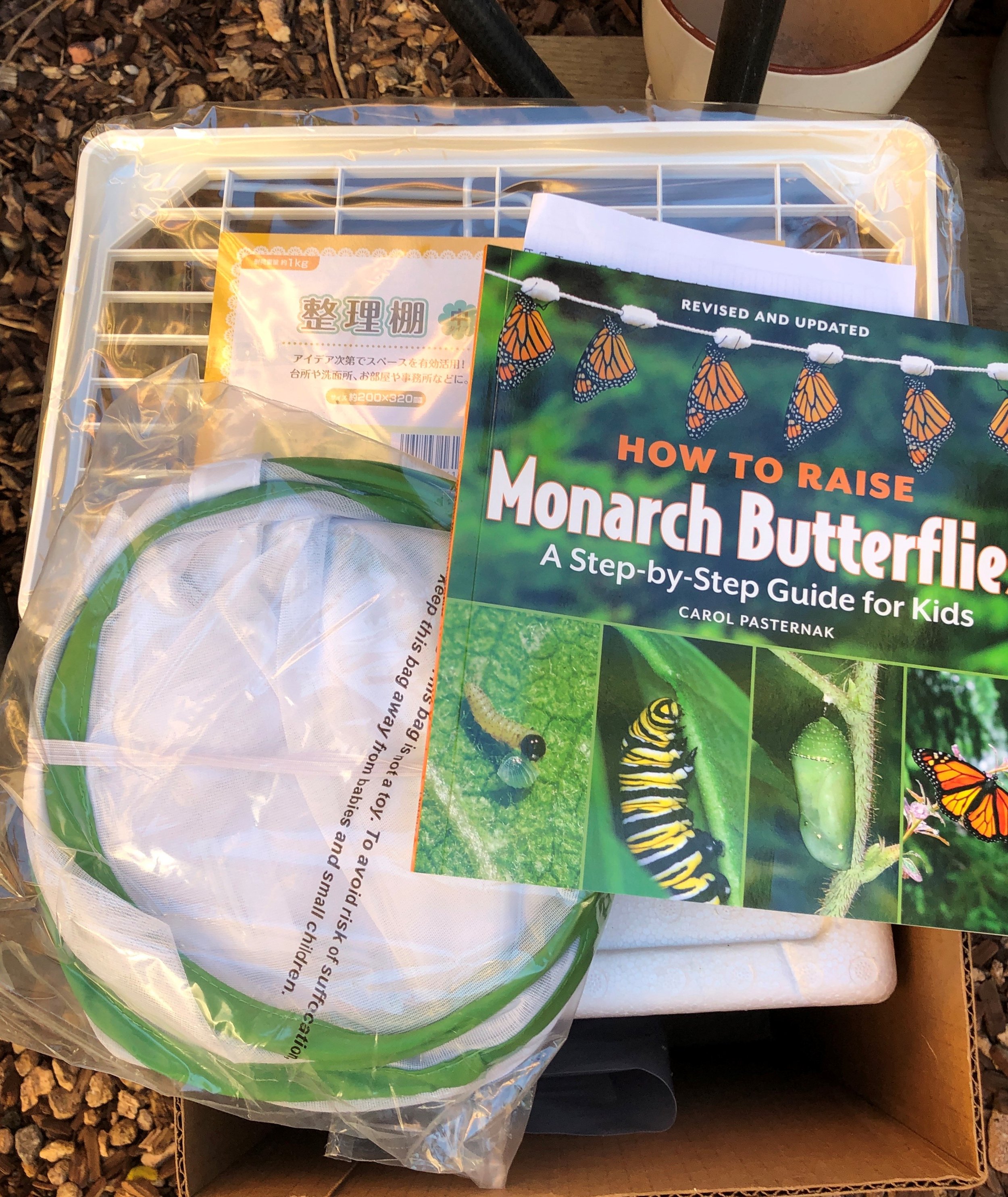 Live Caterpillar Kit -- Monarch