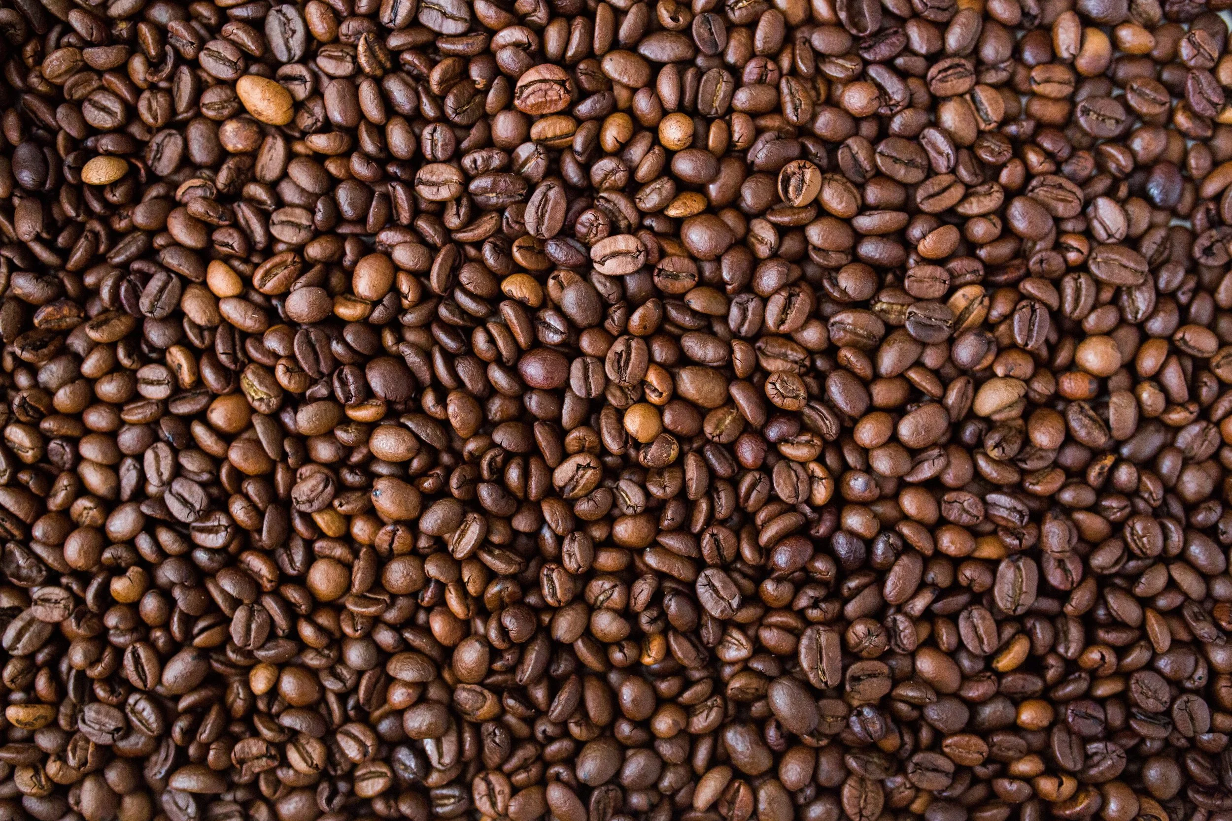 Columbia Roasted Beans
