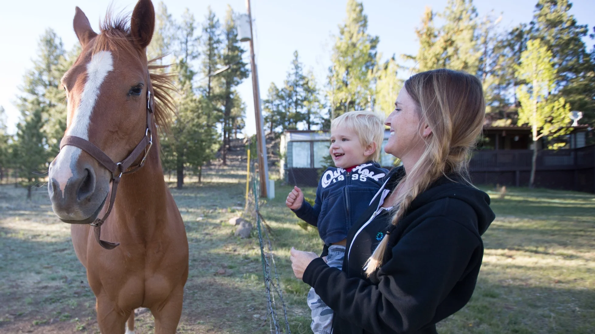 horse next door view 3.jpg