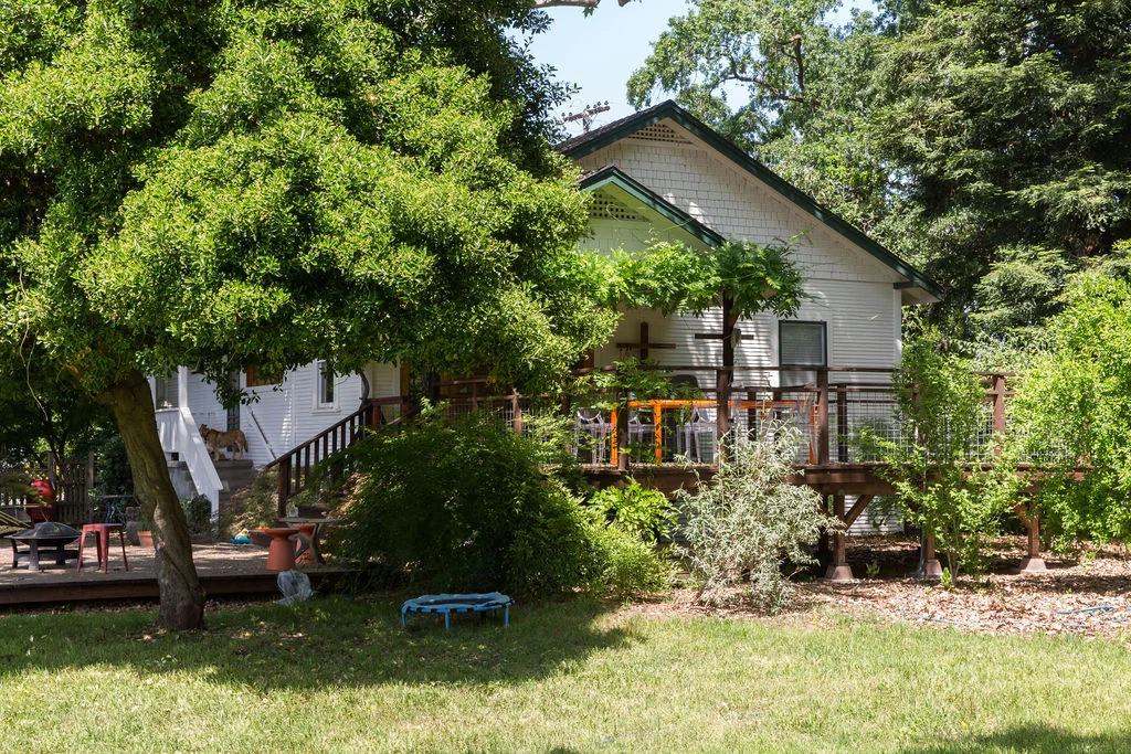 BACK OF THE HOUSE
