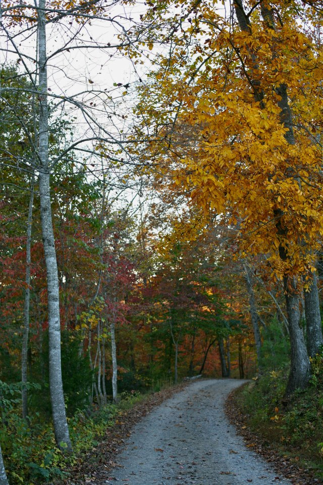 ECV fall gravel road.jpg