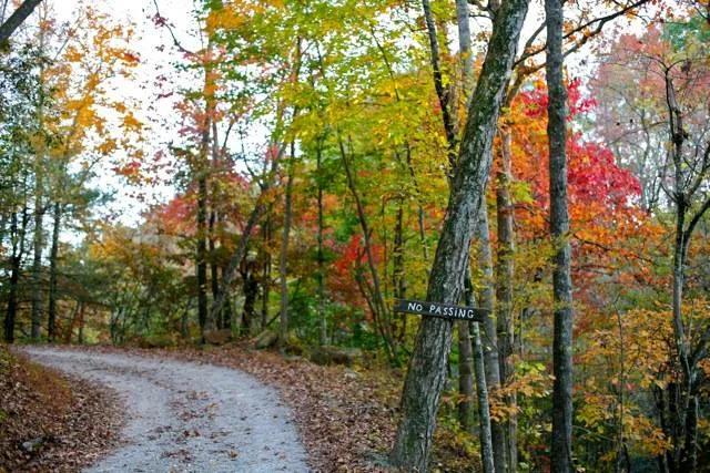 ECV Fall Road.jpg