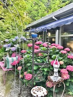 backyard5.jpg