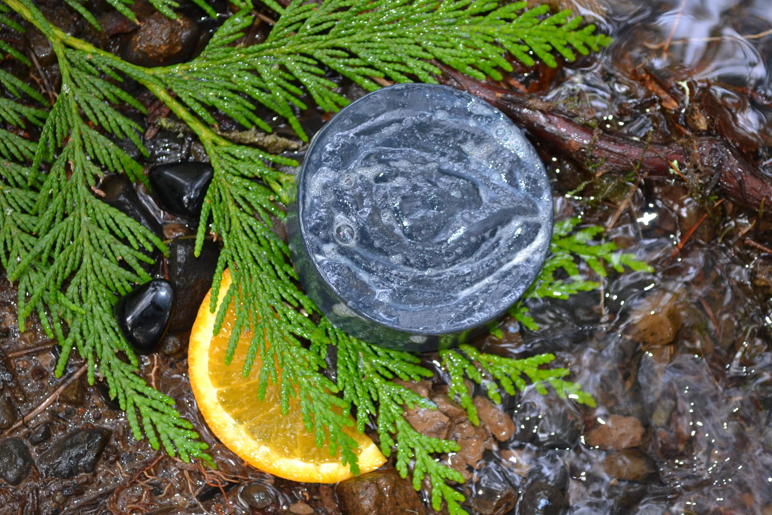 DSC_4724.jpg