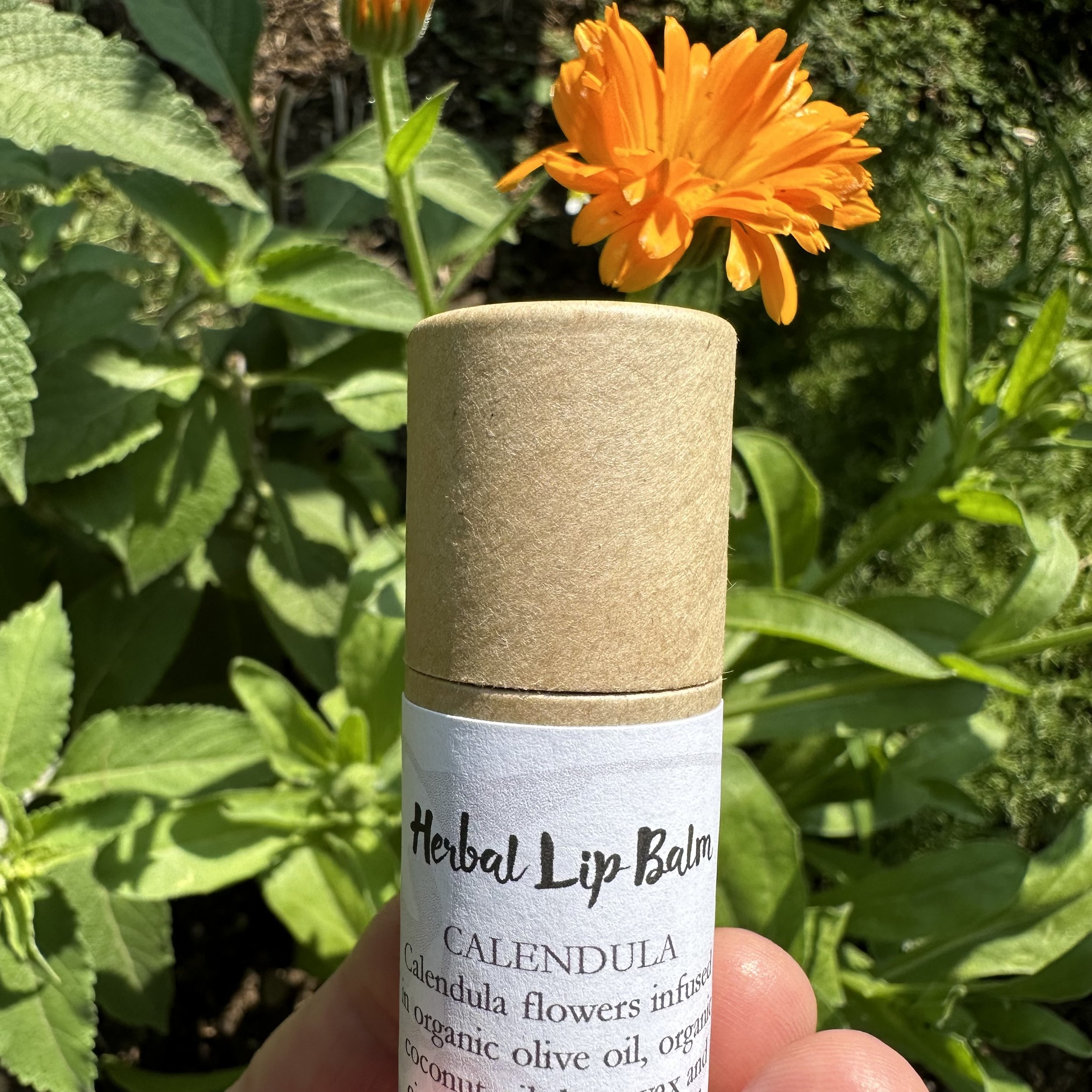 Calendula Lip Balm I.jpeg