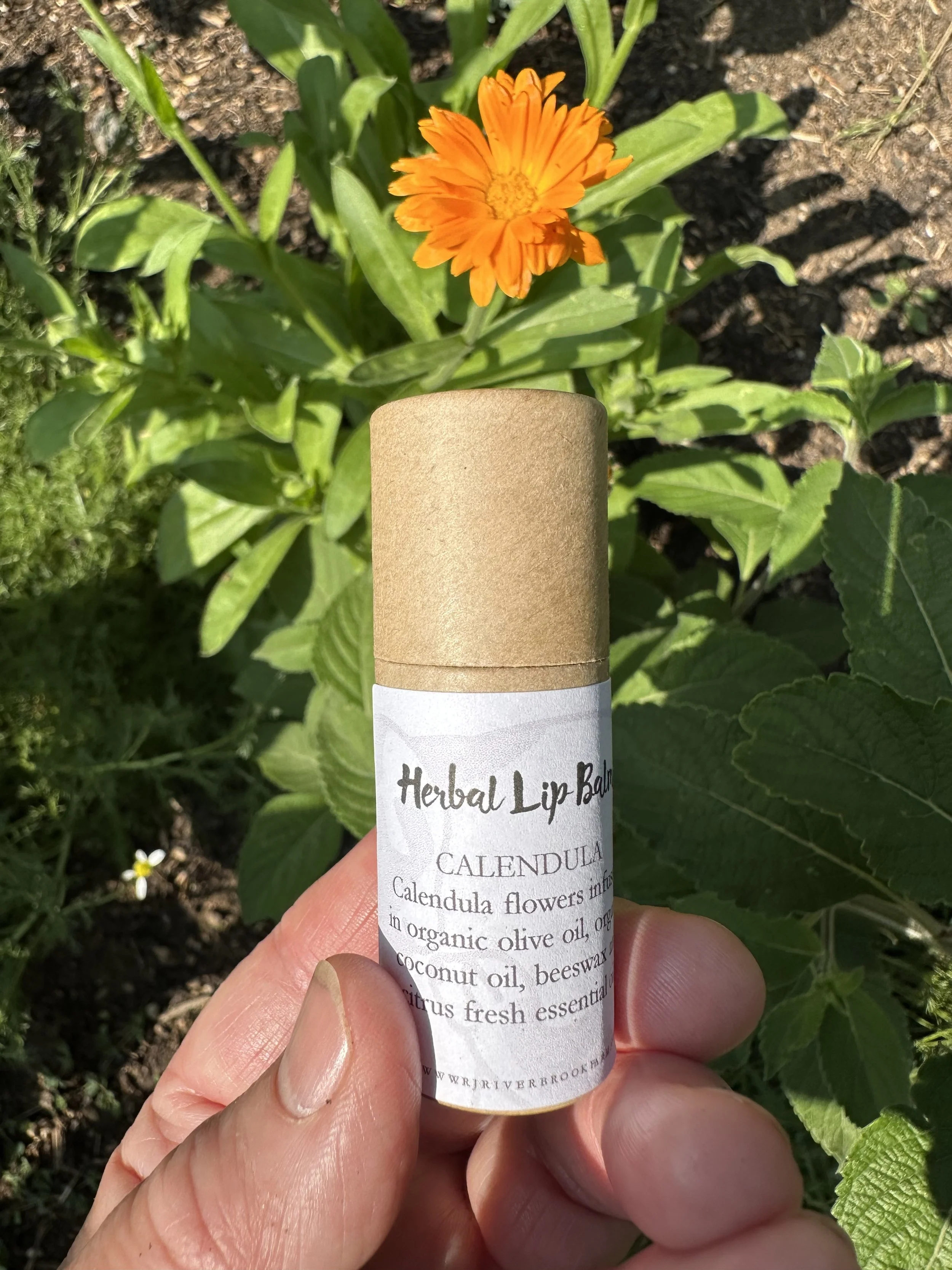 Calendula Lip Balm.jpeg