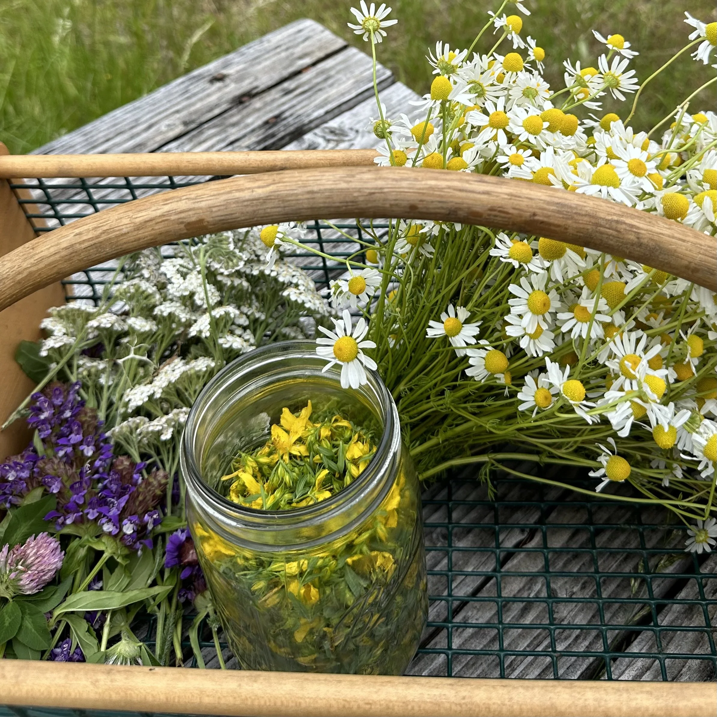 A basket of flowers.jpg
