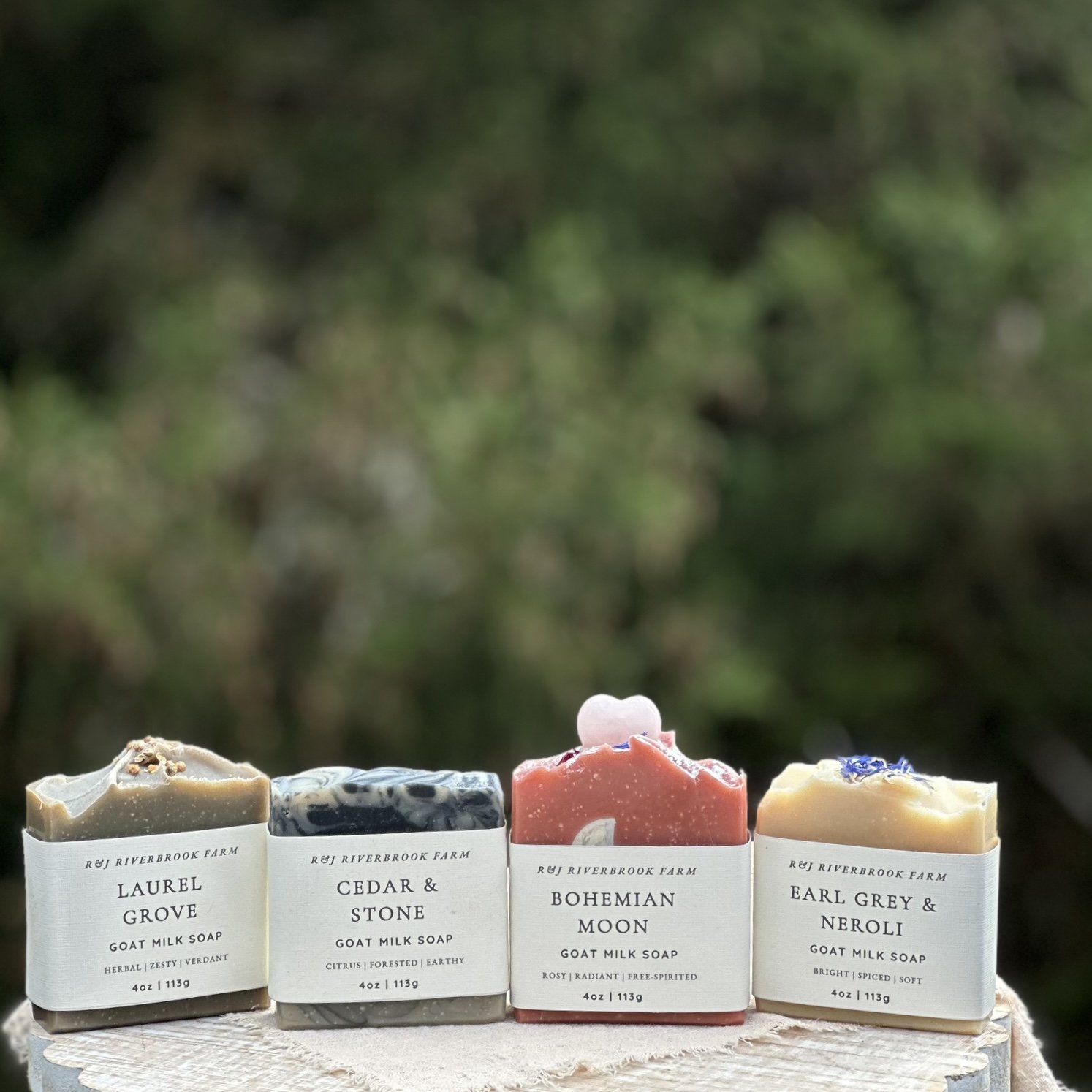 Four handcrafted goat milk soaps from R&J Riverbrook Farm's Coriander Collection-Laurel Grove, Cedar & Stone, Bohemian Moon, and Earl Grey & Neroli-arranged against a soft woodland background.
