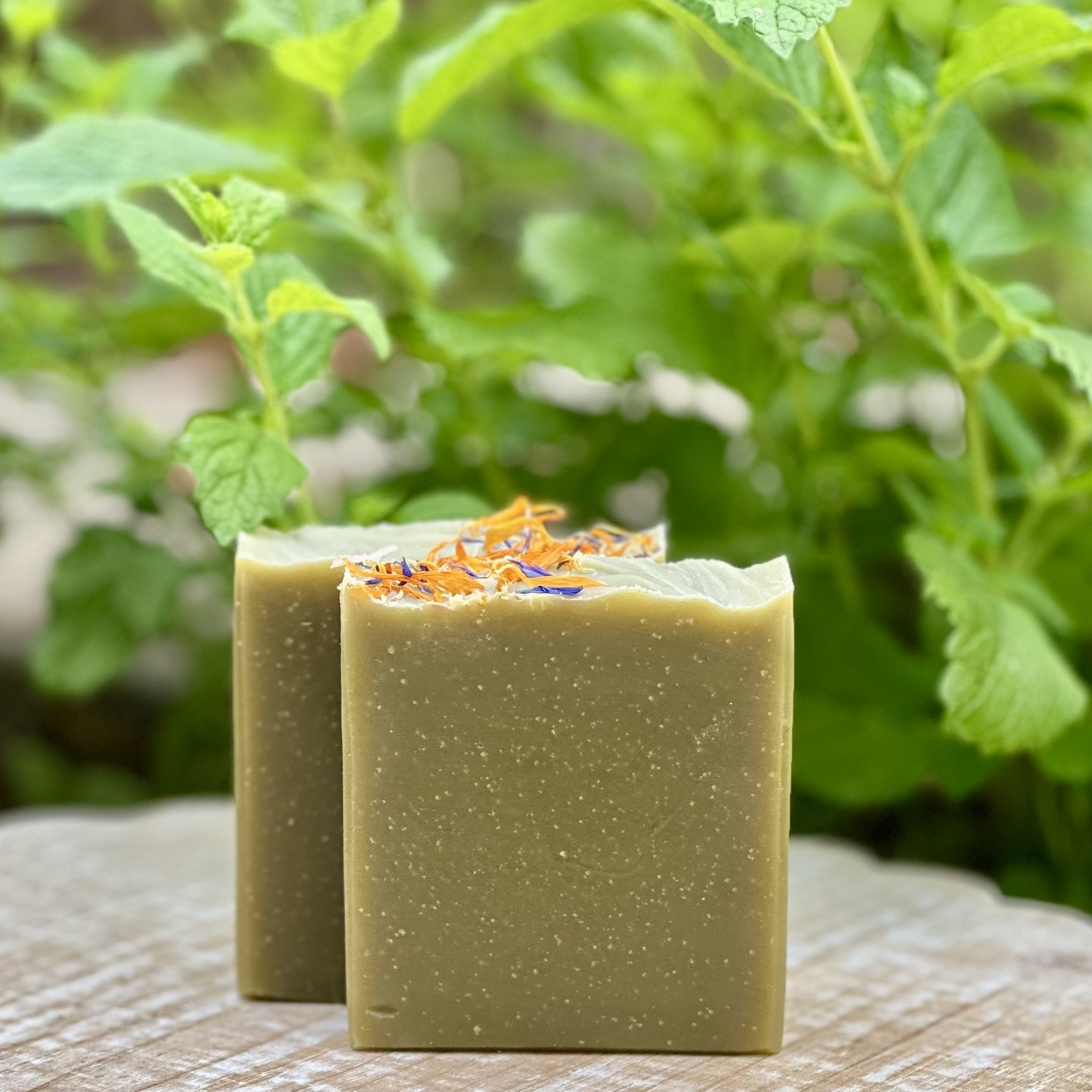 Lemon Balm Infused Soap.jpg