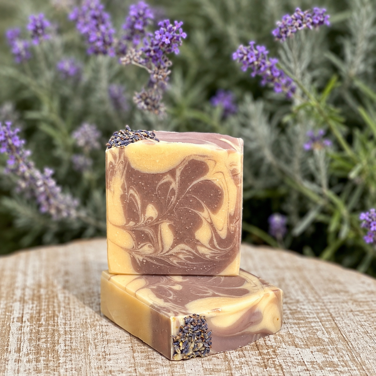 Lavender Stillness unlabeled.PNG