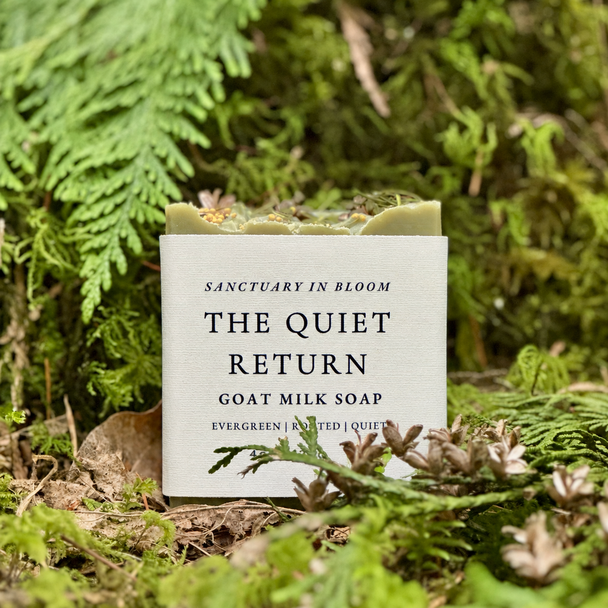 The Quiet Return Single Bar.PNG