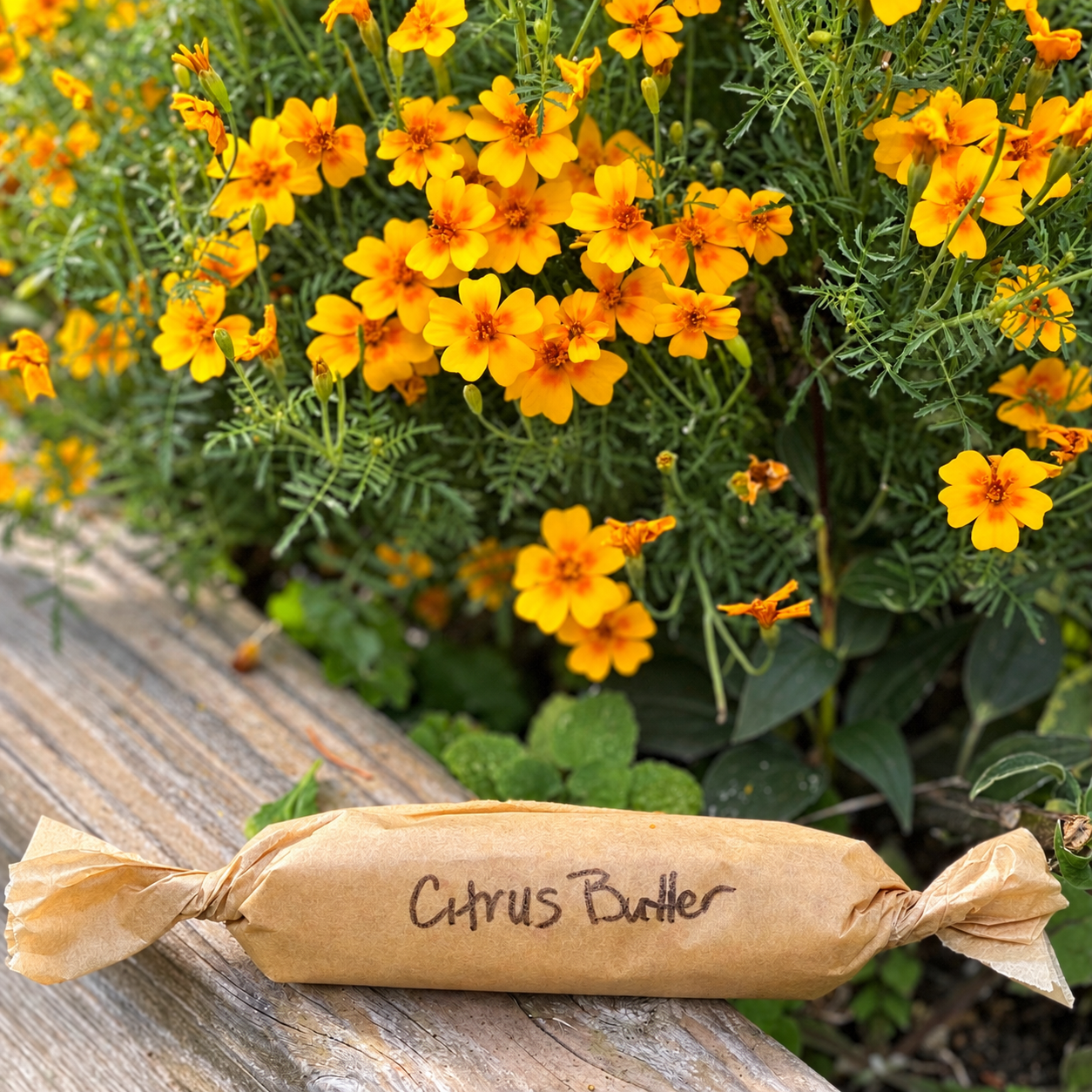Homemade citrus butter wrapped in parchment paper, photographed beside blooming golden tangerine marigolds at R&J Riverbrook Farm.