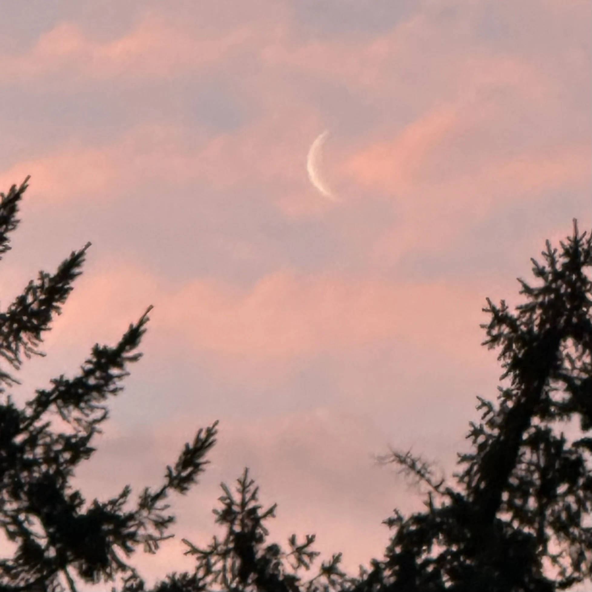 Waning Cresent Moon.jpg