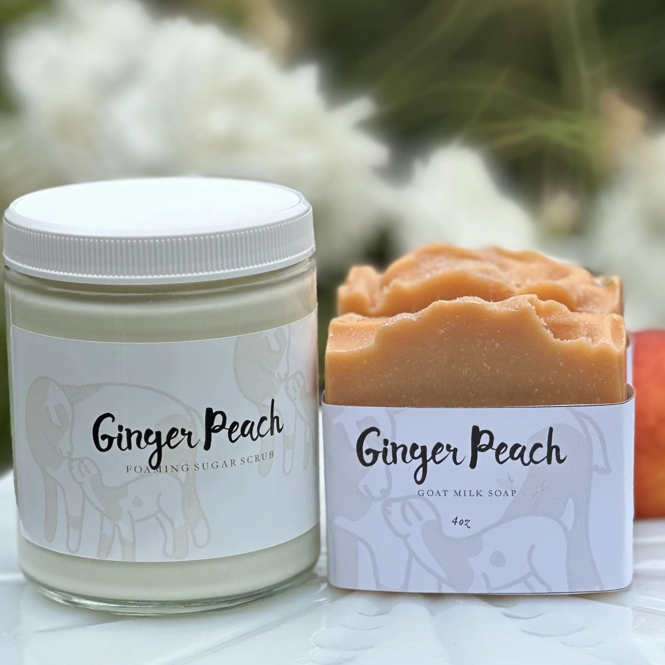 Ginger Peach Photo.jpg