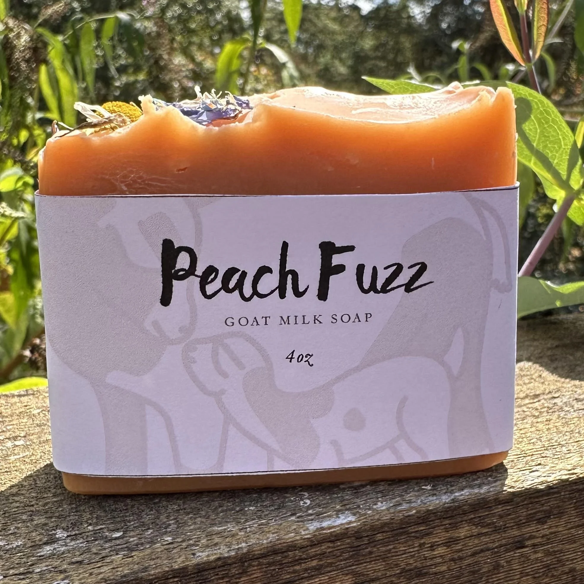 Peach Fuzz Labeled.jpg