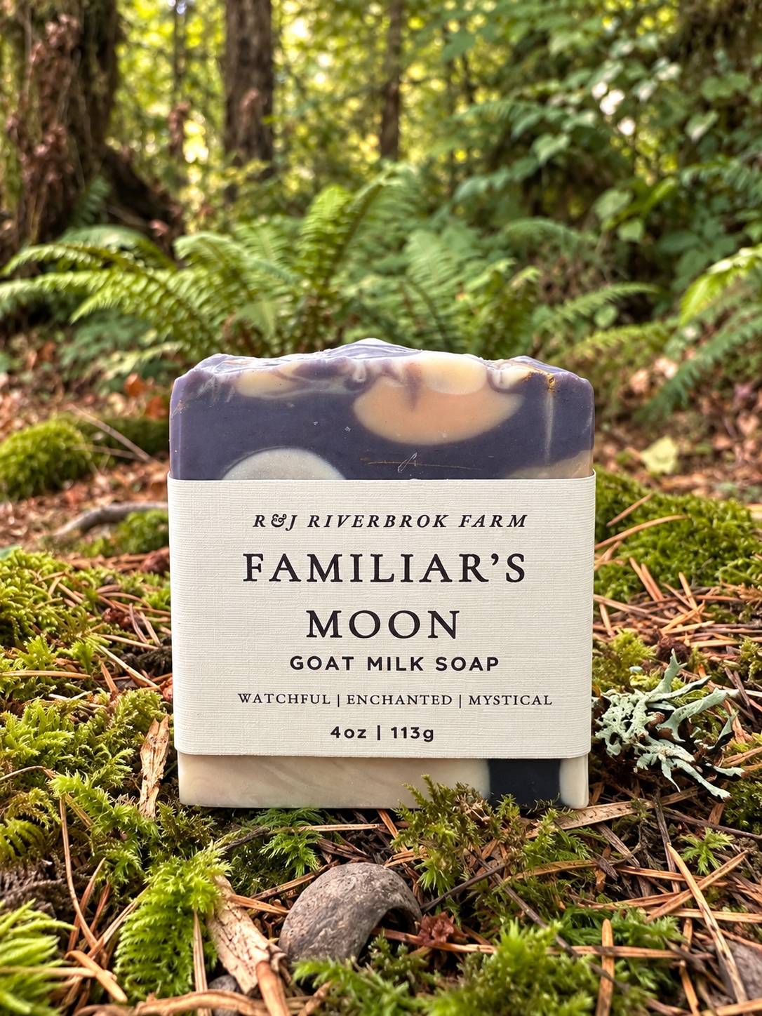 Familiar's Moon Labeled.PNG