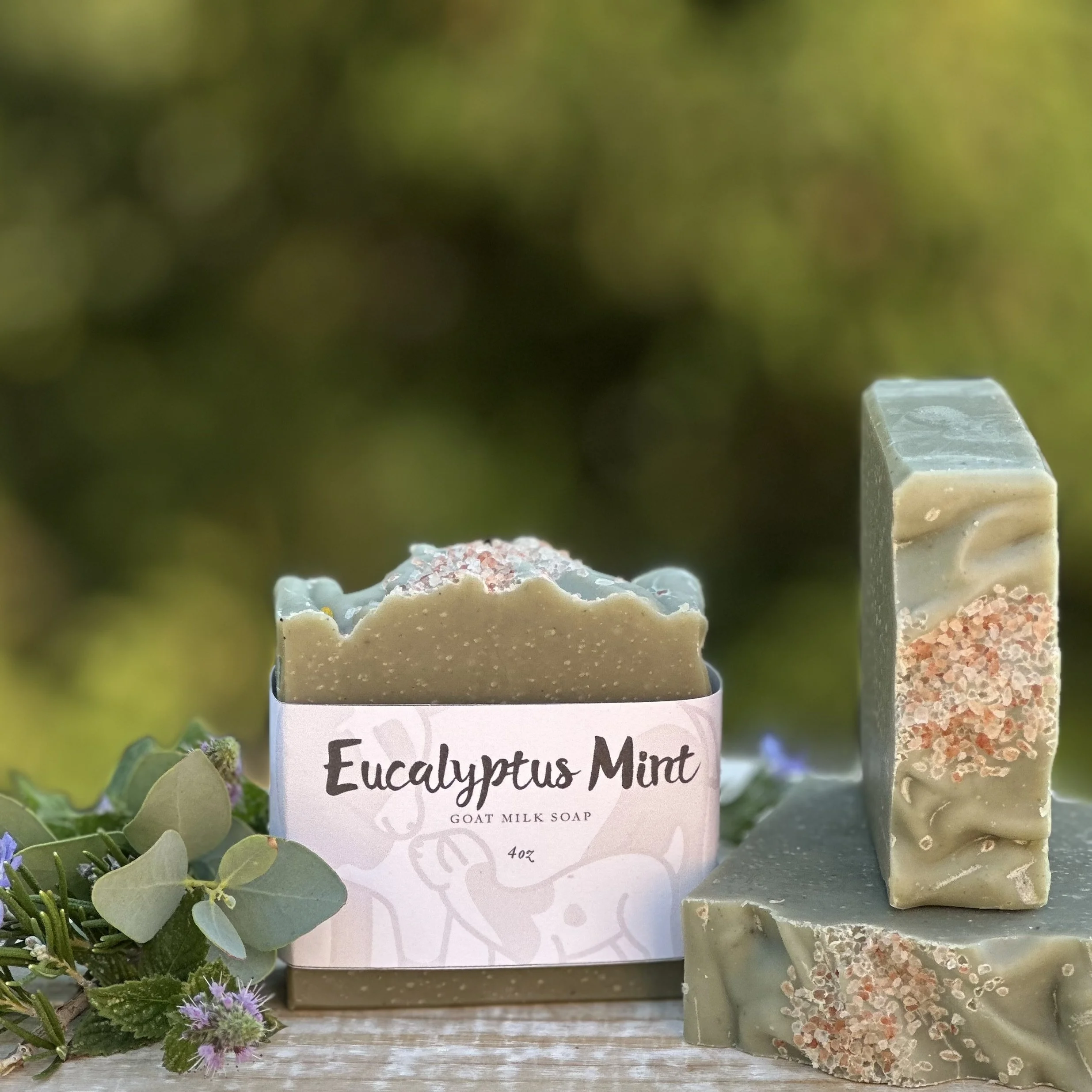Eucalyptus Mint.jpg